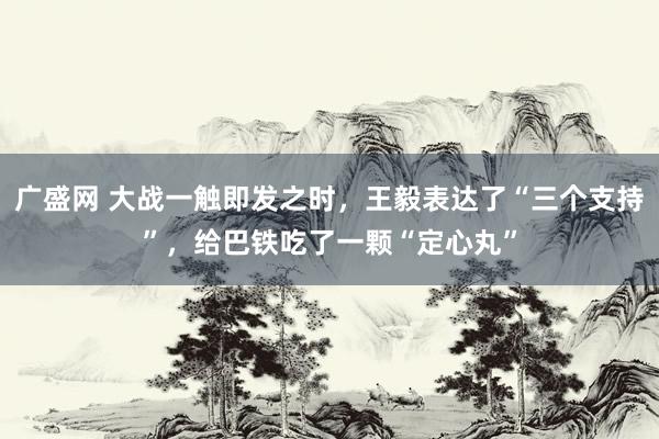 广盛网 大战一触即发之时，王毅表达了“三个支持”，给巴铁吃了一颗“定心丸”